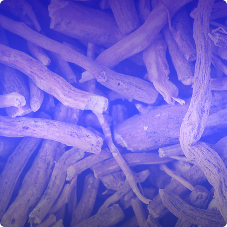 KSM-66® Ashwagandha