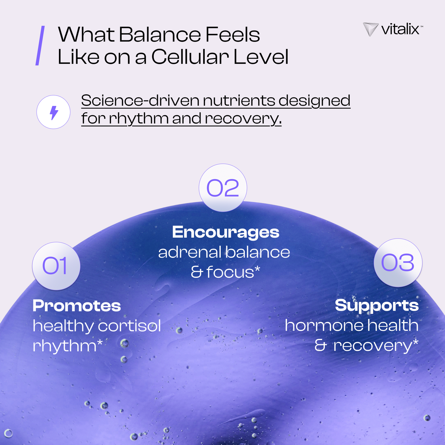 Vitalix product description with a blue circular graphic and text on a white background