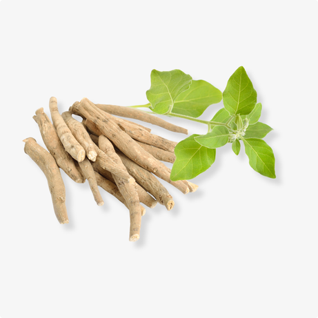 KSM-66® Ashwagandha